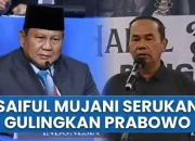 Ahmad Muzani Serukan Lengserkan Prabowo