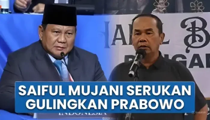 Ahmad Muzani Serukan Lengserkan Prabowo