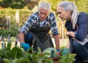 Bisnis Paling Menjanjikan bagi Para Pensiunan