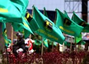 Ratusan Pengurus DPW dan DPC PPP Dipecat secara Massal