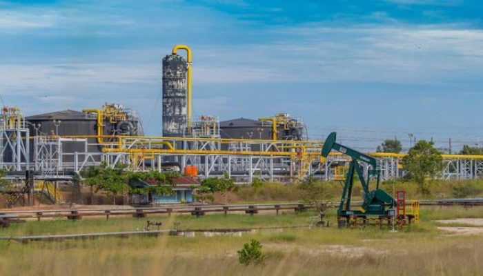 65% Total Produksi Minyak RI Ternyata Berasal dari Perusahaan Ini