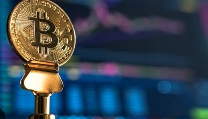 El Salvador Borong Bitcoin Tiap Hari