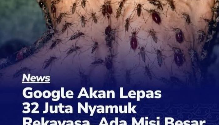 Rencana Google untuk Melepaskan 32 Juta Nyamuk di California dan Florida
