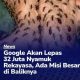 Rencana Google untuk Melepaskan 32 Juta Nyamuk di California dan Florida