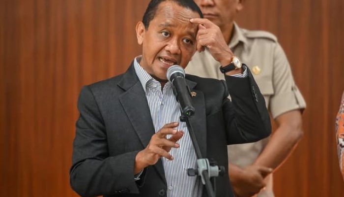 Fantastis! Ekspor Batu Bara Sumbang Devisa Rp269 Triliun ke Negara
