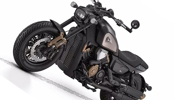 Speedo Motor Cruiser SRV 600V Makin Modern, User-Friendly Informatif