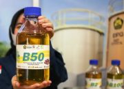 Pemerintah Resmi Luncurkan  B50