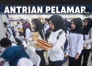 98 Persen Perusahaan Merekrut Karyawan Berdasarkan Skill Bukan Gelar
