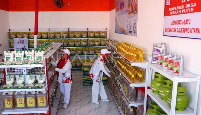 Gaji Manajer Koperasi Merah Putih Ditanggung APBN 2 Tahun, Perpres Terbit Pekan Depan