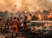 Bareskrim Polri Tetapkan 72 Tersangka Kasus Kebakaran Hutan di Wilayah Kalimantan dan Sumatra
