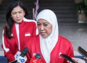 Kasus Starlink Mentawai: Komdigi Gandeng Telkomsat-Starlink Bina Yogi Jadi Reseller Resmi