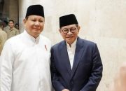 Peta Politik Pilpres 2029: Poros Mega-Prabowo Jilid II Berpotensi Pecundangi Pengaruh Jokowi